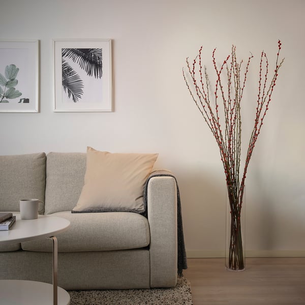 SALIX CAPREA Plant, Willow assorted colours, 180 cm