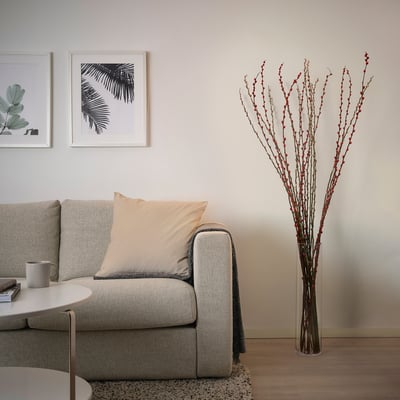 SALIX CAPREA Plant, Willow assorted colours, 180 cm