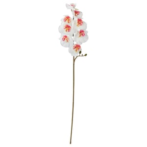 SMYCKA: white orchid branch, recycled plastic, realistic flowers, perfect for vases, durable.