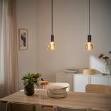 SUNNEBY / MOLNART Pendant lamp with light bulb, globe/grey clear glass black, 95 mm