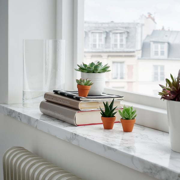 Okenska polica: bela marmorna polica s knjigami, majhni glineni lončki SUKULENTI, prozorna steklena vaza. Pogled na mesto zunaj.