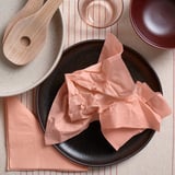 Tmavý tanier s broskyňovými obrúskami FANTASTISK, lyžica, miska, pohár na pruhovanej látke. Obrúsky výrazné, tanier stredne veľký.