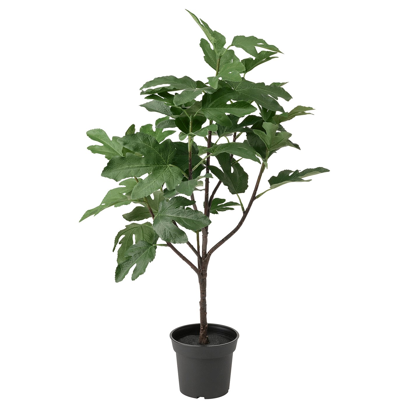 Fejka umela rastlina v kvetinaci na von dnu ficus 1034059 pe840170 s5 jpg