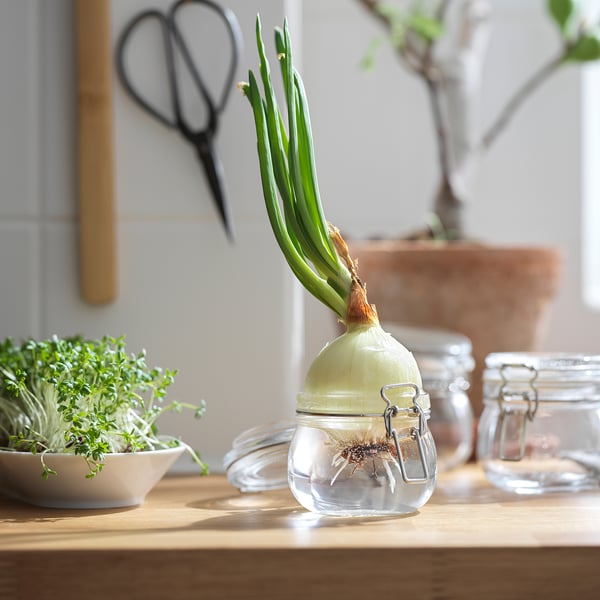 KORKEN Dóza s vrchnákom, číre sklo, 0.5 l