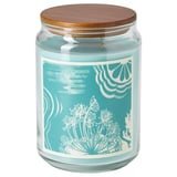BUKETTAPEL Scented candle/glass w lid/2 wicks, bergamot & cedarwood/pale green, 100 hr