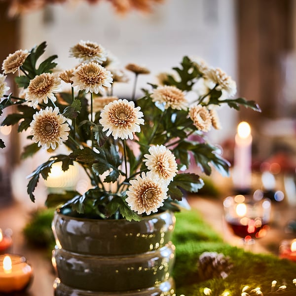 FEJKA Artificial potted plant, in/outdoor/Chrysanthemums light orange, 15 cm