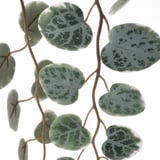 FEJKA Artificial potted plant, in/outdoor hanging/String of hearts, 9 cm