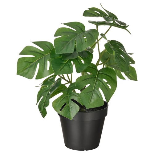 FEJKA black plastic potted plant with lush green, lifelike, large tropical leaves. Perfect for low-maintenance indoor decor.