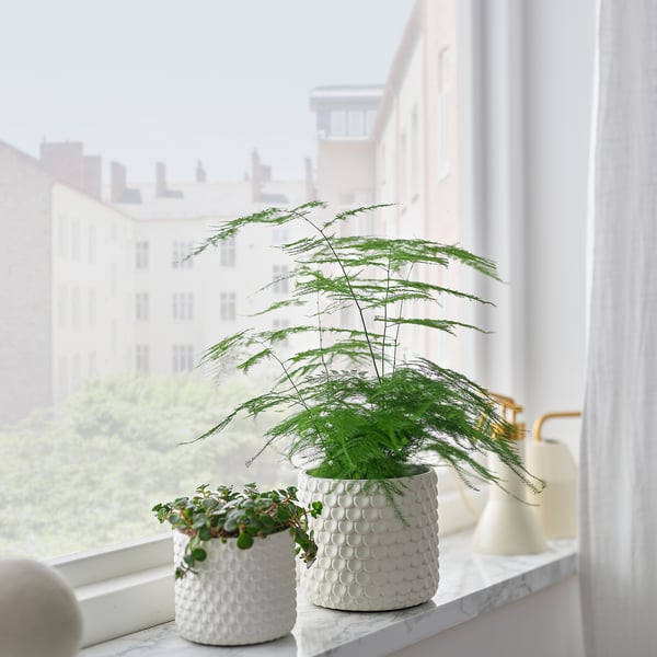 Two white patterned GLACIÄRBJÖRN pots hold plants, one larger, one smaller, near a window with city view.