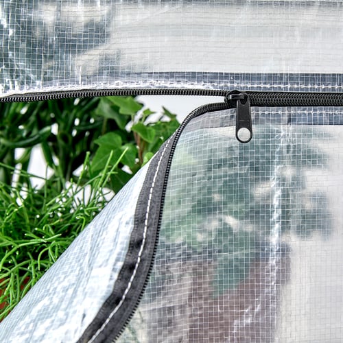 Clear plastic greenhouse cover with zip, protecting green plants inside.