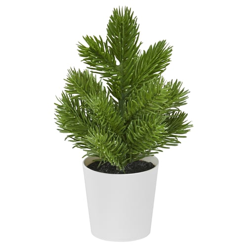 Small white-potted artificial green christmas tree, compact and festive.