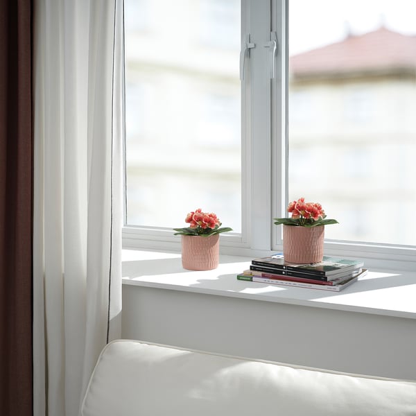 FEJKA เฟคก้า ไม้ประดิษฐ์ในกระถาง, ใน/นอกอาคาร/primula สีส้ม, 9 ซม.