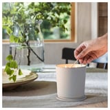 ADLAD Scented candle in ceramic jar w lid, Scandinavian Woods/white, 60 hr