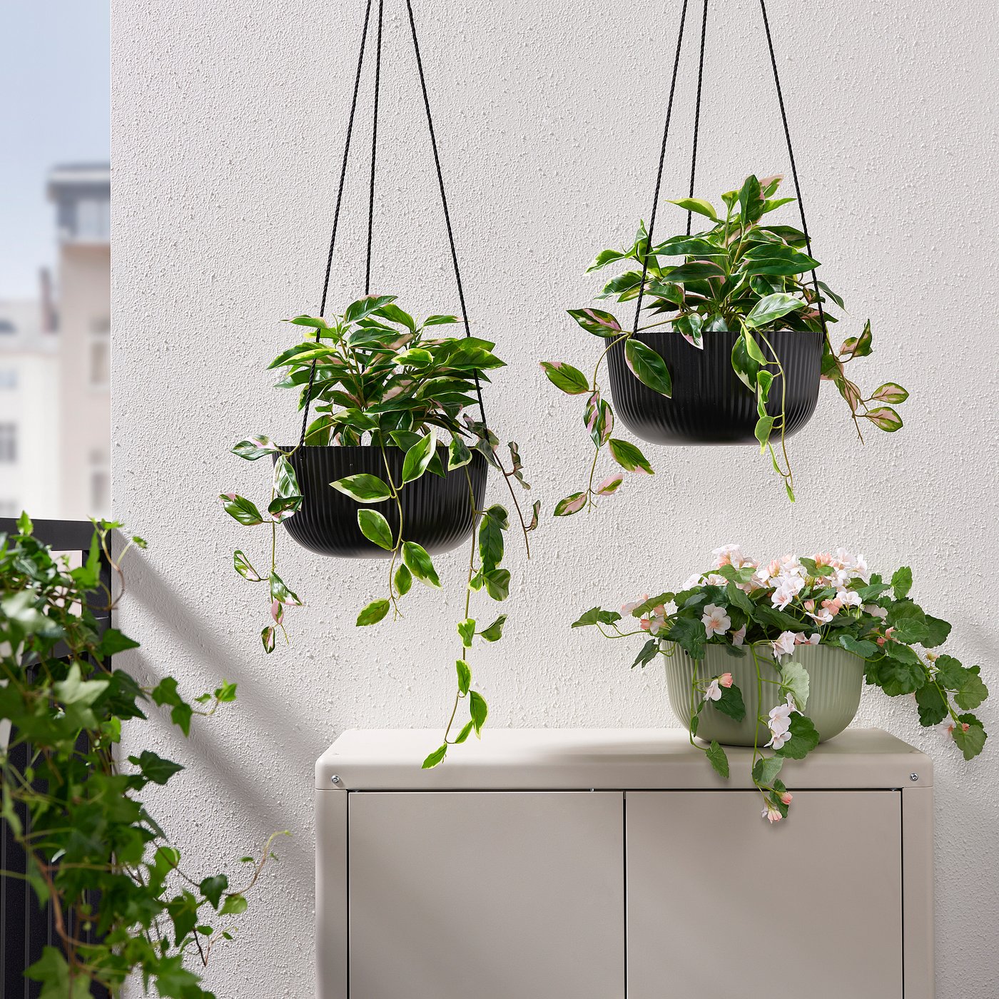 Indoor Hanging Flower Pots