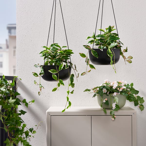 ÄPPELROS Hanging planter, indoor/outdoor anthracite, 10 ¾" IKEA
