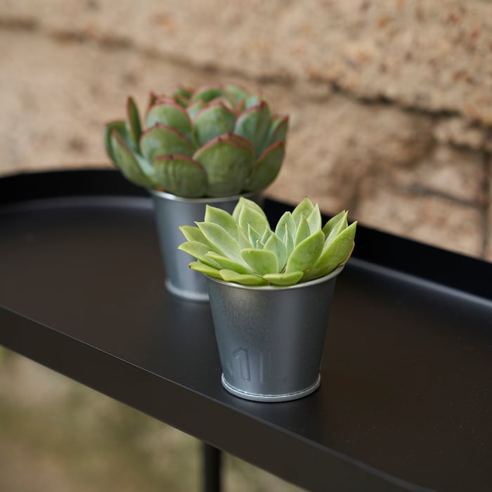 ÅKERBÄR plant pot, indoor/outdoor/galvanized, 2 ¼" IKEA