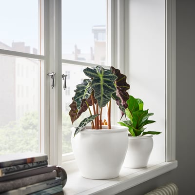 RÅGKORN Plant pot, indoor/outdoor natural, 12 ½ - IKEA