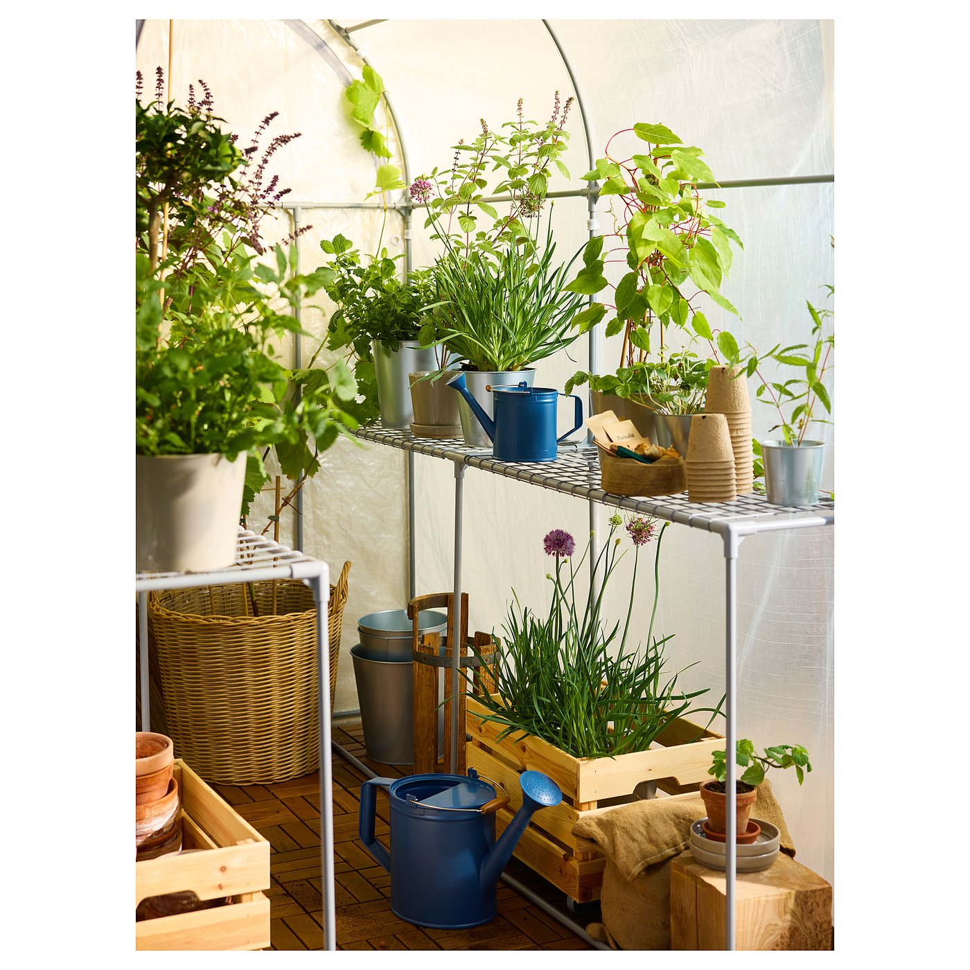 ASPAREN greenhouse, transparent white, 483/8x743/4x743/4