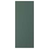 ASPUDDEN Door, dark gray-green, 24x60 "