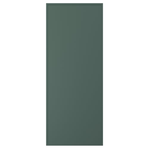ASPUDDEN Door, dark gray-green, 24x60 "