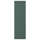 ASPUDDEN Door, dark gray-green, 15x50 "