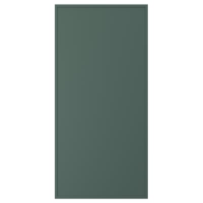 ASPUDDEN Door, dark gray-green, 24x50 "