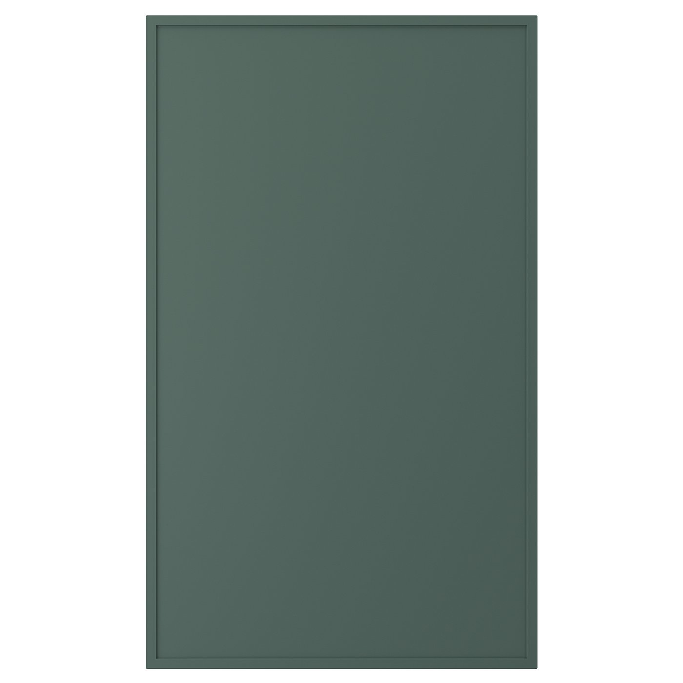ASPUDDEN door, dark gray-green, 24x40