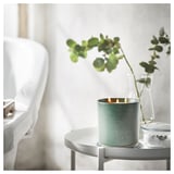 AVMÅLA Scented candle in ceramic jar w lid, Crisp mint/dark green, 60 hr