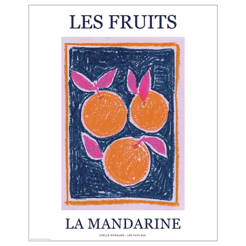 Les fruits la mandarine poster, orange and pink fruits, white border.