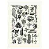 BILD Poster, various vegetables, 19 ¾x27 ½ "