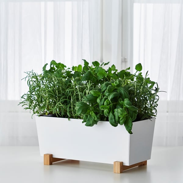 Bittergurka Plant Pot White 12 X6 Ikea Bittergurka Plant Pot White 12 X6 Ikea