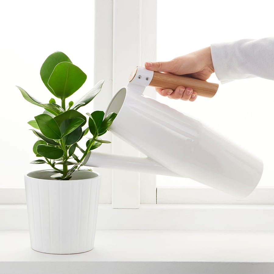 Watering Cans & Spray Bottles IKEA