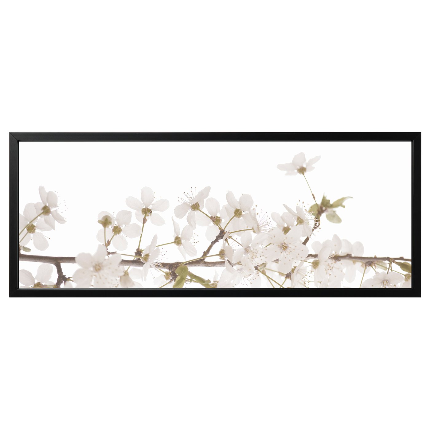 BJÖRKSTA picture and frame, white flowers/black, 55x22" IKEA