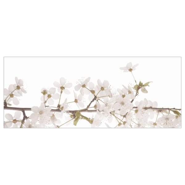 BJÖRKSTA Picture, white flowers, 55x22 "
