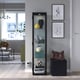 BLÅLIDEN / STRIMSÄV glass-door cabinet with lighting, black - IKEA