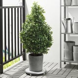 BOYSENBÄR Plant pot, indoor/outdoor light gray, 7 ½ "