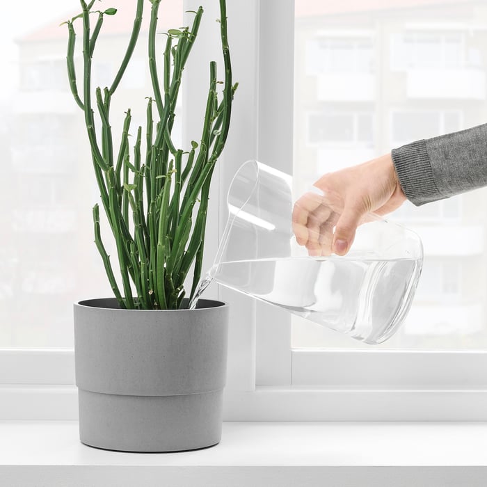 CHILIFRUKT vase/watering can, clear glass, 8 ¼" IKEA