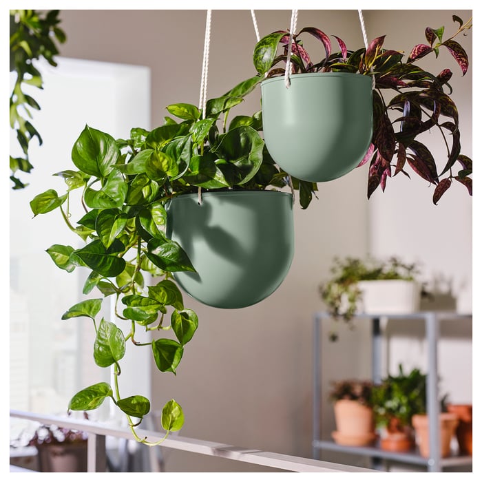 DAKSJUS hanging planter, set of 2, indoor/outdoor light graygreen IKEA