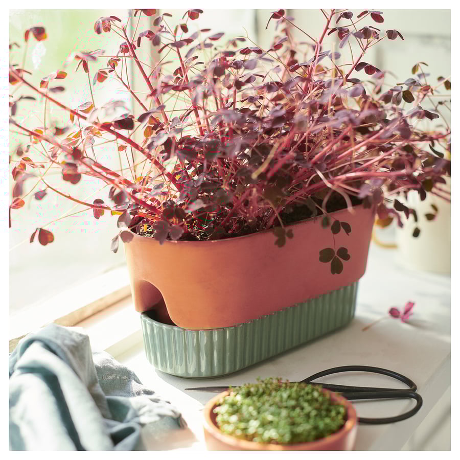 DAKSJUS selfwatering plant pot, terracotta/green, 10 ¾x5" IKEA