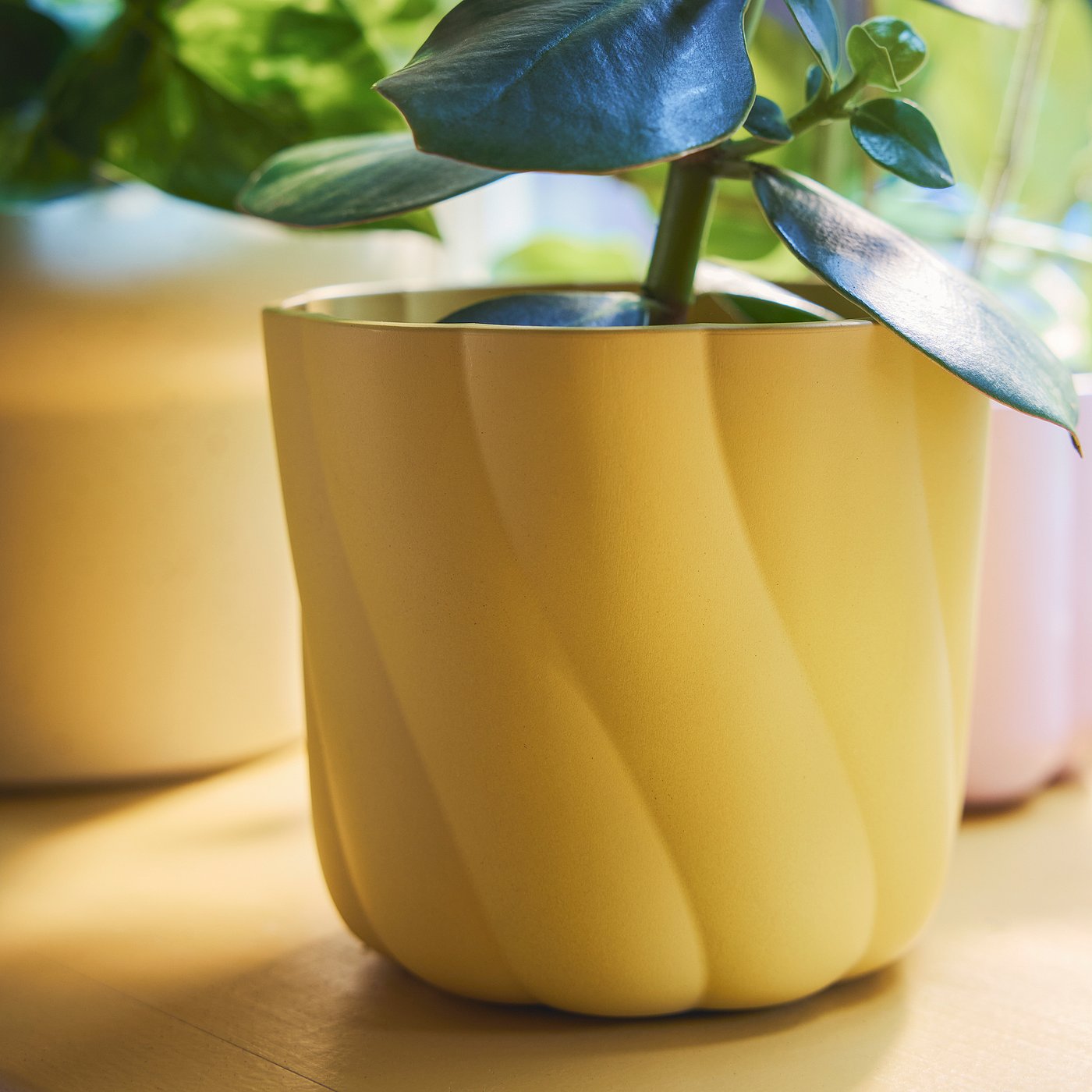 Plant pot, dark yellow 2