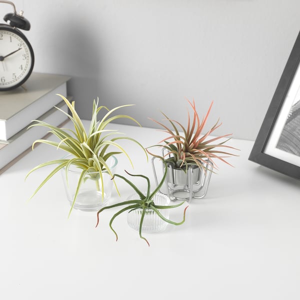 FEJKA artificial plant, set of 3, air plant IKEA