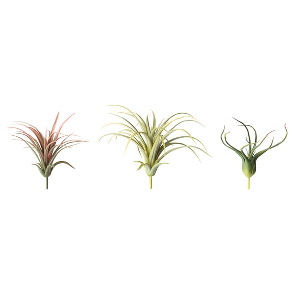 FEJKA artificial plant, set of 3, air plant IKEA