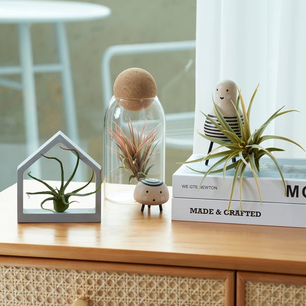 FEJKA artificial plant, set of 3, air plant IKEA