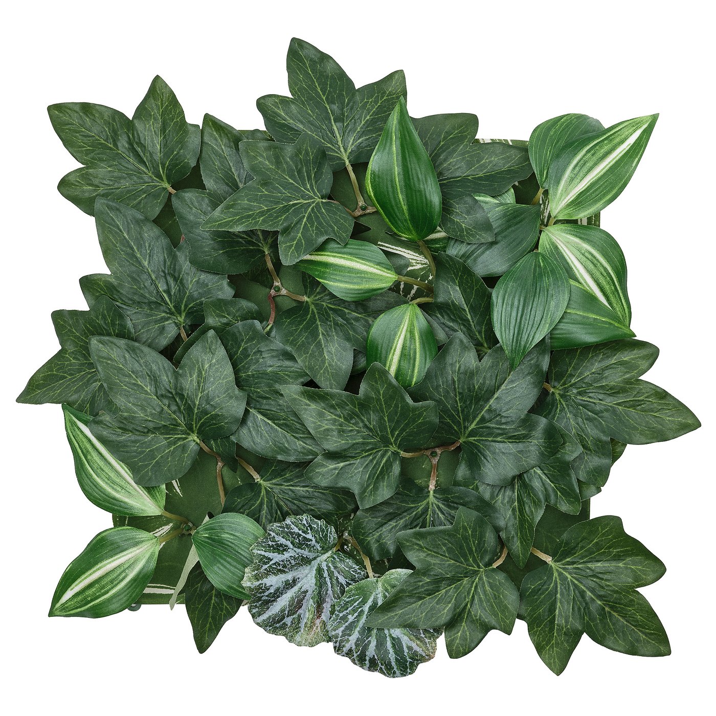 Artificial Plant, Wall Mounted Indoor/Outdoor/Foliage