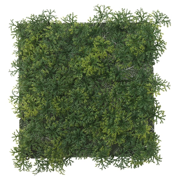 FEJKA artificial plant, wall mounted indoor/outdoor/moss green, 10 ¼x10