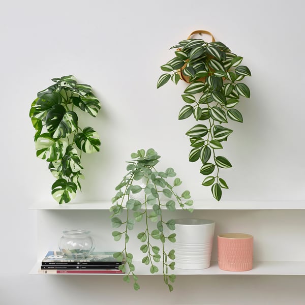FEJKA artificial plant with wall holder, indoor/outdoor/green IKEA
