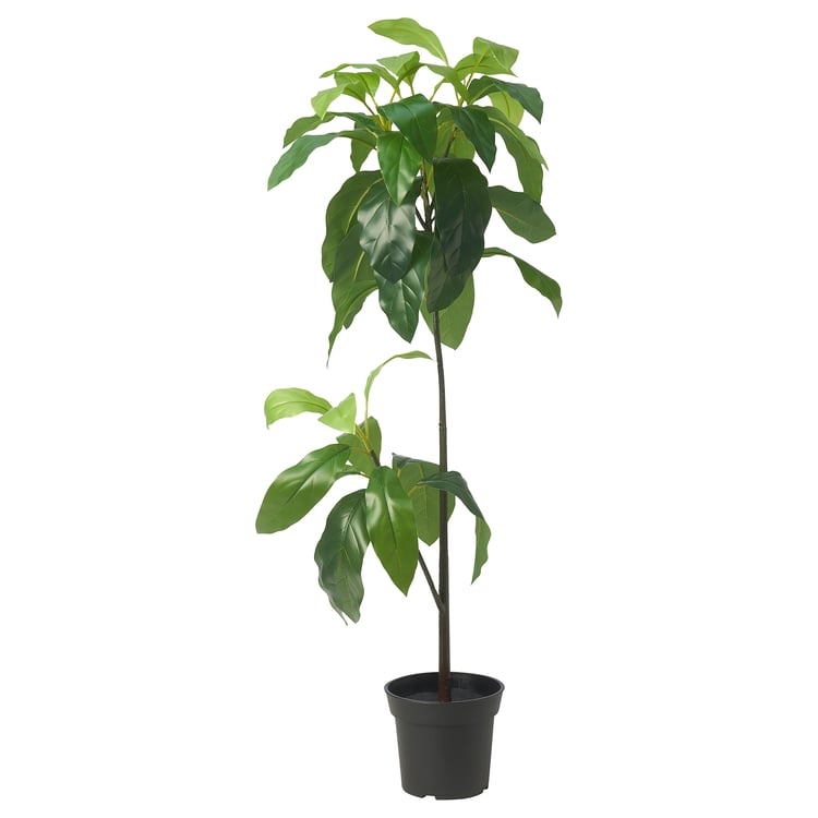 FEJKA artificial potted plant, indoor/outdoor avocado, 6" IKEA