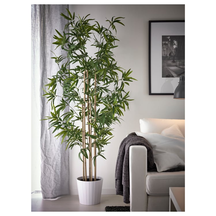FEJKA artificial potted plant, indoor/outdoor bamboo, 9" IKEA