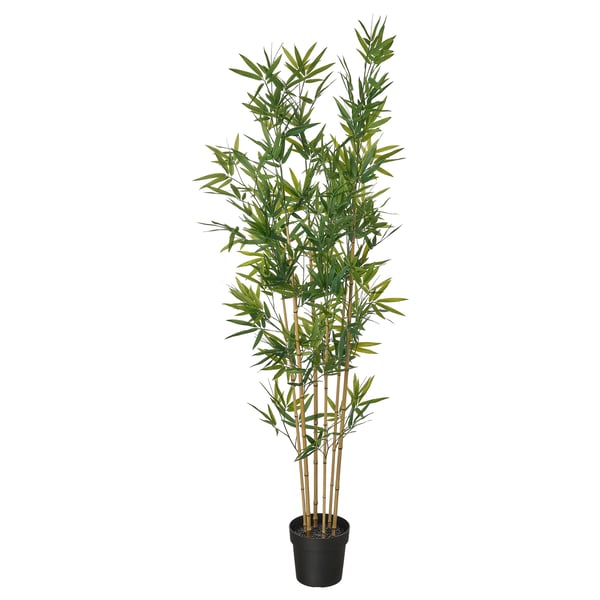 FEJKA Artificial potted plant, indoor/outdoor/bamboo, 8 ¼ "