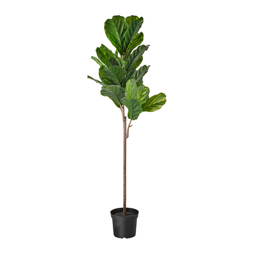 FEJKA IKEA occasion